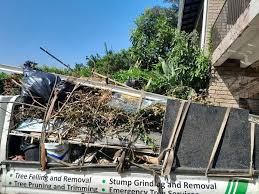 Best Attic Cleanout  in Wartburg, TN