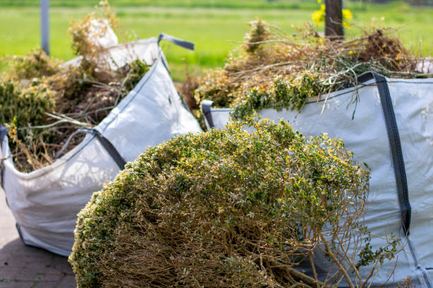 Best Demolition Debris Removal  in Wartburg, TN