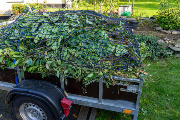 Best Shed Removal  in Wartburg, TN